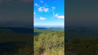 Balpakram national park meghalaya beautiful nature parrot birds animals [upl. by Eocsor]