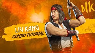 LIU KANG COMBO TUTORIAL  41 DE DANO  VAR2 COMPETITIVO  MORTAL KOMBAT 11  PS4  MK11 [upl. by Arammahs]