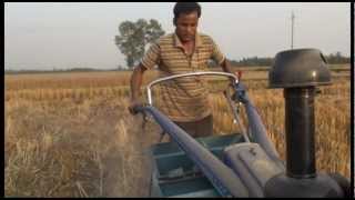 Saving water and overcoming salinity with conservation agriculture [upl. by Savdeep]