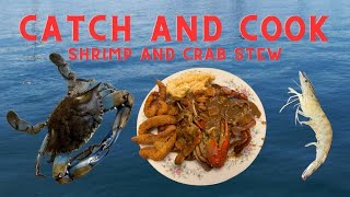 Catching Beautiful Crabs amp Shrimp Off The Road CatchCleanCook Shrimp amp Crab Stew WFried Trout [upl. by Ricardo]