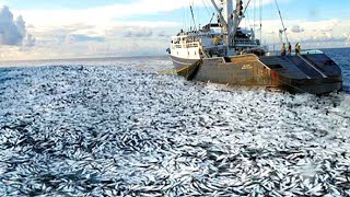 Life On Largest Midwater Trawl Vessel  Fishing trip on trawler the High Sea 04 [upl. by Naibaf]