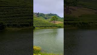 Vagamon vairalvideo nature trending [upl. by Airoled]