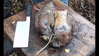 Wild Bird Preparation for Tandoori Partridge [upl. by Ecnarual]