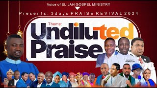 Undiluted Praise Revival 2024 [upl. by Theurich539]