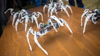 Robot Spiders Controlled by Intels Edison Chip [upl. by Affay698]