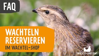 FAQ Wachteln reservieren im WachtelShopcom [upl. by Missie]