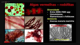 Taxonomia Vegetal  Aula 05  Algas vermelhas algas verdes e plantas [upl. by Juta]