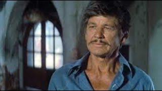 Caboblanco Full Movie Facts amp Review in English  Charles Bronson  Jason Robards [upl. by Minta]