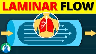 Laminar Flow in the Lungs EXPLAINED [upl. by Bubb]