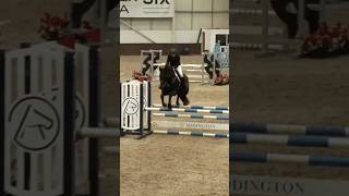 Addington Equestrian Centre 1m open class 825 double clear 🥳 horseriding horses showjumping [upl. by Catarina]