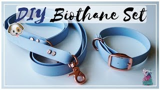 DIY BIOTHANE SET  LEINE HALSBAND HUND [upl. by Drofnats]