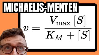 Michaelis Menten Equation Explained For Beginners [upl. by Malaspina407]