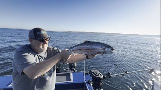 Rail Flippin Coho  Puget Sound Salmon Fishing 8302024 [upl. by Krause]