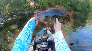 Throwing ChatterBaits for Fall Transition Smallmouth New PB [upl. by Cooke]