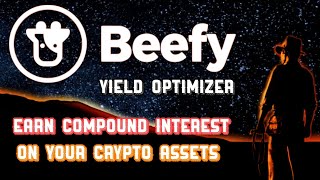 Beefy finance overview  best yield optimizer [upl. by Afesoj175]