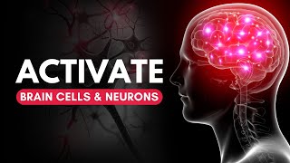 Neuron Activation Frequency Activate Brain Cell Music [upl. by Howes]