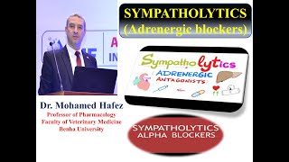 AUTONOMIC Part 2 Alpha Adrenergic Blockers [upl. by Celina795]