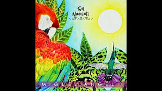 SOL NACIENTE  Miguel Angel musicamedicina musicaconciente yosoy musicayage medicinaancestral [upl. by Krauss]