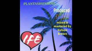 PLANTASHUN BOIZ  IFE [upl. by Dew]