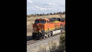 HDENLAU heading north at N Siding Switch Broomfeild bnsf railfanning shorts [upl. by Elinad]