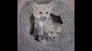 How to Paint Foxes in Pastel on Velour [upl. by Yrrok]