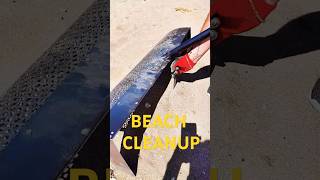 You Wont Believe  Beach Cleaning Gone Viral Hidden Treasures [upl. by Southard153]