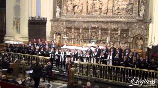 AVE MARÍA de BSOMMA Concierto en Basílica del Pilar PEREGRINACIÓN DIOCESANA [upl. by Mauer616]