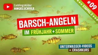 Barsch Angeln im Frühjahr  Sommer 🎣 Staffel 2 Folge 9 [upl. by Atiuqes561]