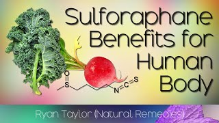 Sulforaphane Benefits for Health [upl. by Naylor161]