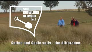 Saline and sodic soils  the difference [upl. by Ayad]