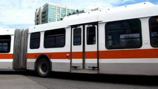 Mississauga Brampton amp York Region Transit Bus Systems [upl. by Maryrose]