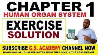 Exercise solution Chapter 1 Human Organ Systems Class 8 Science gs academy [upl. by Joleen]