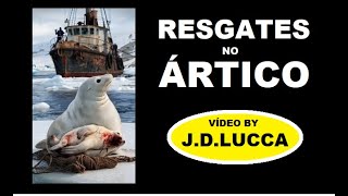 RESGATES NO ÁRTICO  Animais feridos  Ursos  focas  lontras marinhas renas Vídeo by JDLUCCA [upl. by Wylie]