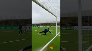 99 Perfect Saves… and One Costly Error Goalkeeping Goalkeeper [upl. by Fein]