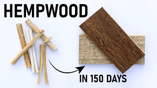 HempWood  a NEW ecofriendly hardwood [upl. by Okramed]