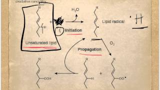 F7 Oxidative Rancidity [upl. by Ernestine]