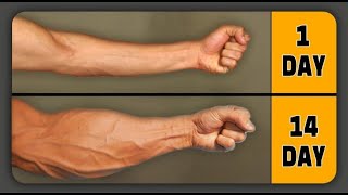 How l Got These Forearms in 14 Days at Home [upl. by Paley83]