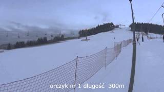 Koziniec ski [upl. by Kenweigh396]