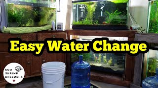 Shrimp Tank Water ChangeSimple and Easy [upl. by Benedicta]