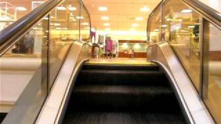 Otis Escalators  Von Maur  Yorktown Center [upl. by Kemble]