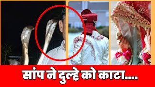 दुल्हे को सांप ने काटा Saitsh phaphrana snake man haryana snake [upl. by Hillman]