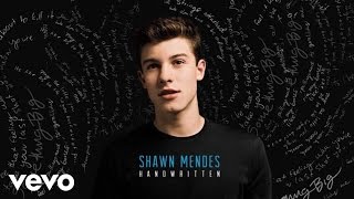 Shawn Mendes  Aftertaste Audio [upl. by Olegnad]