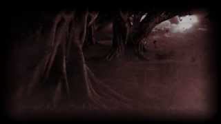 The Hanging Tree  BOOK TRAILER [upl. by Ttocserp]