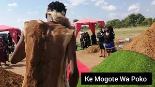 Mogote  Funeral Performance Highlights 2 [upl. by Ayojal895]