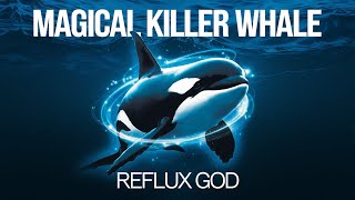 Magical Killer Whale [upl. by Primo]