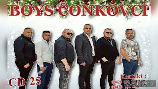 BOYS ČONKOVCI CD 25  Stal tam on Slaďak  Cover [upl. by Kassel716]