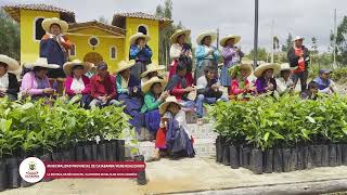 MPC ENTREGA PLANTONES DE PALTO A MÁS DE 380 FAMILIAS [upl. by Doughty]