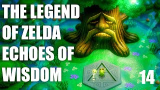 The Legend of Zelda Echoes of Wisdom 14  Hidden Ruins Treasure Cave Deku Tree Stilled Ancient Ruins [upl. by Yztim]