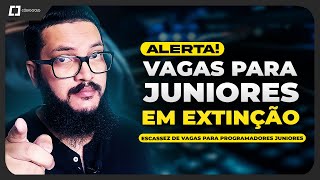 VAGAS PARA PROGRAMADORES JUNIORES  O MERCADO DE TRABALHO 😭 [upl. by Suravart14]