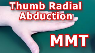 Manual Muscle Testing MMT  Thumb Radial Abduction [upl. by Ayerim]